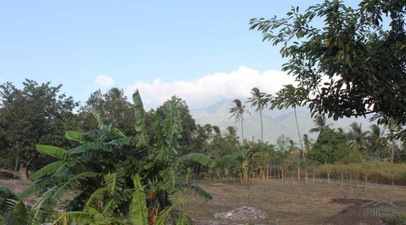 Other lots for sale in Dumaguete