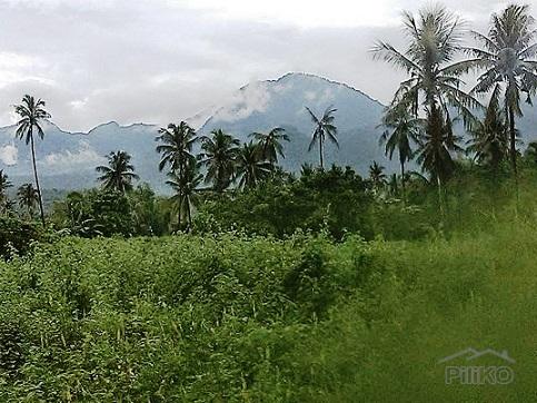 Other lots for sale in Dumaguete - image 10