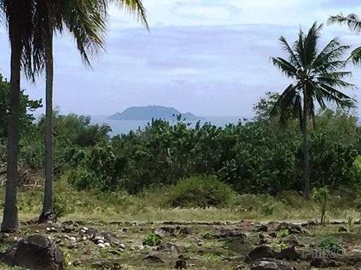 Picture of Other lots for sale in Dumaguete