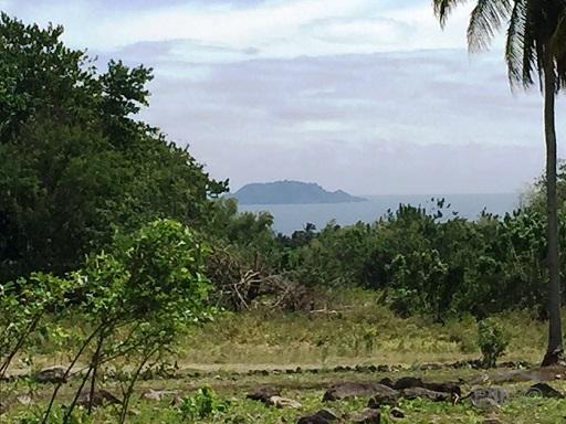 Other lots for sale in Dumaguete