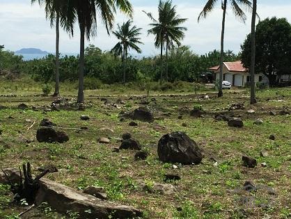 Other lots for sale in Dumaguete in Negros Oriental