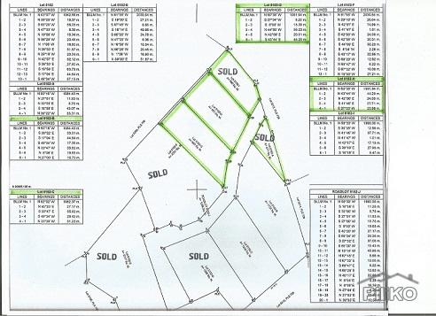 Other lots for sale in Dumaguete in Philippines