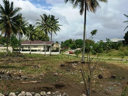 Picture of Other lots for sale in Dumaguete in Negros Oriental
