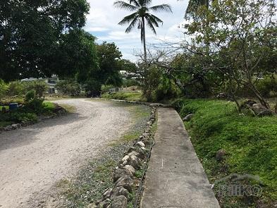 Other lots for sale in Dumaguete in Philippines - image