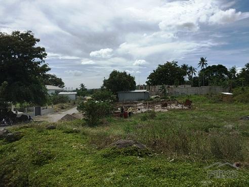 Other lots for sale in Dumaguete - image 9