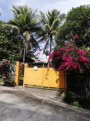 2 bedroom House and Lot for sale in Dumaguete - image 10