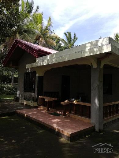 2 bedroom House and Lot for sale in Dumaguete - image 2