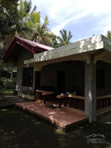 2 bedroom House and Lot for sale in Dumaguete