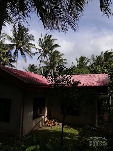 2 bedroom House and Lot for sale in Dumaguete in Philippines