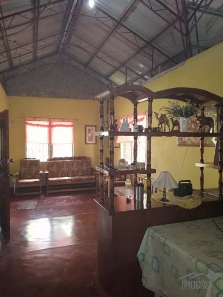 2 bedroom House and Lot for sale in Dumaguete in Negros Oriental - image