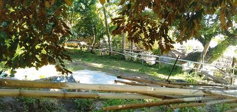 Picture of Other lots for sale in Dumaguete