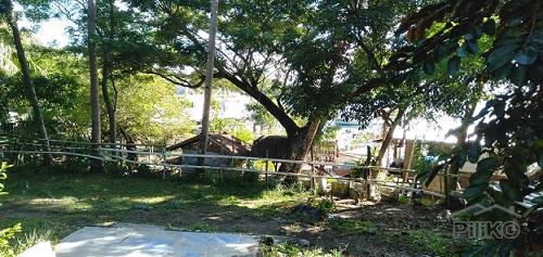 Other lots for sale in Dumaguete