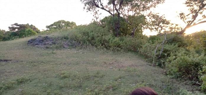 Other lots for sale in Dumaguete in Negros Oriental