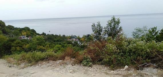 Picture of Other lots for sale in Other Cities in Cebu