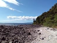 Picture of Other lots for sale in Dumaguete