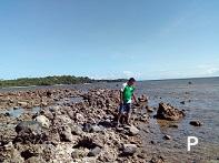 Other lots for sale in Dumaguete in Philippines