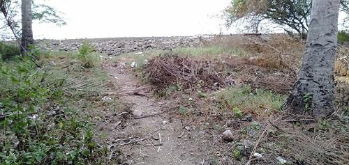 Picture of Other lots for sale in Dumaguete in Negros Oriental