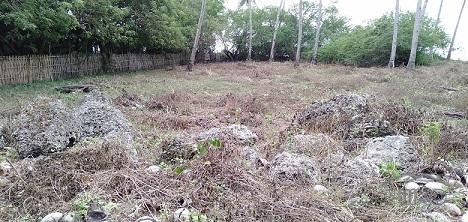 Other lots for sale in Dumaguete in Negros Oriental - image