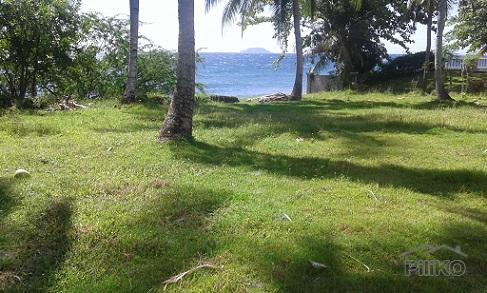 Picture of Other lots for sale in Dumaguete