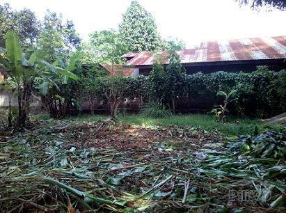 Picture of Other lots for sale in Dumaguete