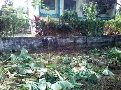 Other lots for sale in Dumaguete