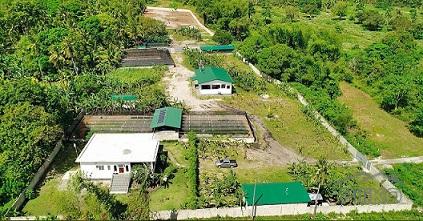Commercial Lot for sale in Dumaguete - image 2