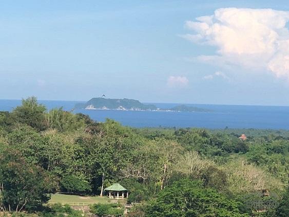 Other lots for sale in Dumaguete in Negros Oriental