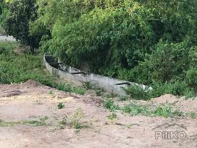 Picture of Other lots for sale in Dumaguete in Negros Oriental