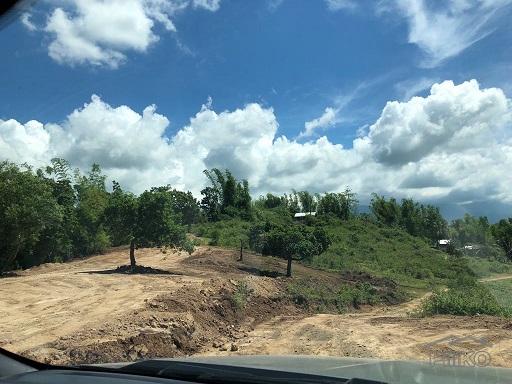 Picture of Other lots for sale in Dumaguete in Philippines