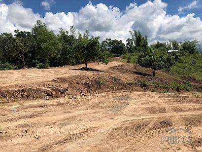 Other lots for sale in Dumaguete in Negros Oriental - image