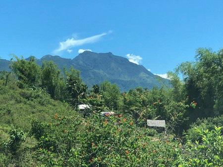 Other lots for sale in Dumaguete - image 9