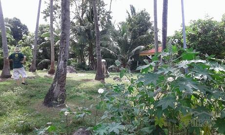 Agricultural Lot for sale in Dumaguete in Negros Oriental