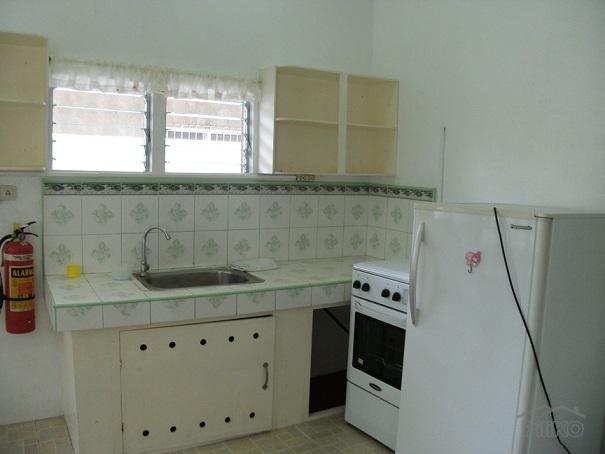 4 bedroom House and Lot for sale in Dumaguete - image 4