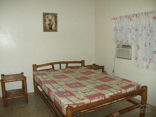 4 bedroom House and Lot for sale in Dumaguete - image 6