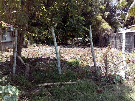 Other lots for sale in Dumaguete