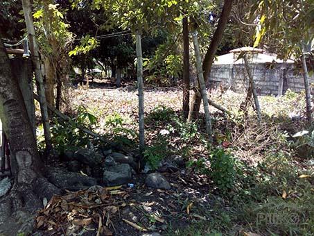 Other lots for sale in Dumaguete in Negros Oriental