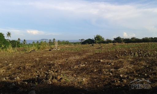 Pictures of Agricultural Lot for sale in Dumaguete