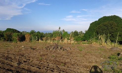 Agricultural Lot for sale in Dumaguete - image 2