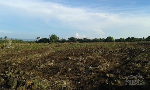 Agricultural Lot for sale in Dumaguete - image 4