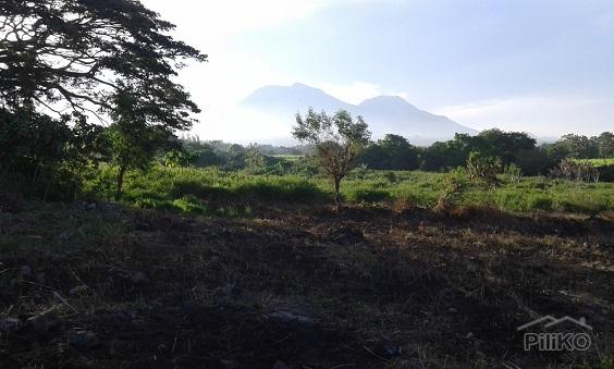 Picture of Agricultural Lot for sale in Dumaguete in Negros Oriental