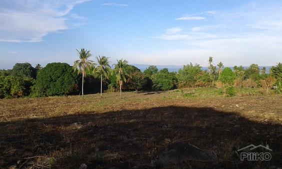 Agricultural Lot for sale in Dumaguete - image 6