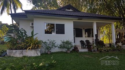 Pictures of 2 bedroom House and Lot for sale in Dumaguete