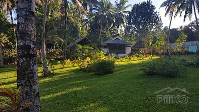 2 bedroom House and Lot for sale in Dumaguete in Philippines