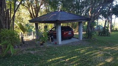 2 bedroom House and Lot for sale in Dumaguete - image 5