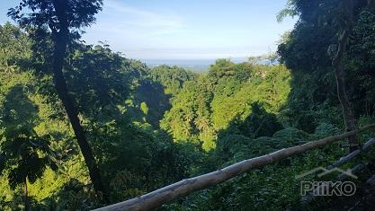 2 bedroom House and Lot for sale in Dumaguete - image 6