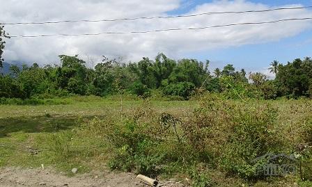 Other lots for sale in Dumaguete