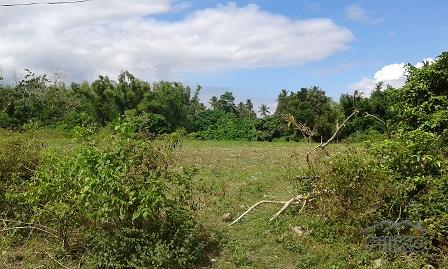 Other lots for sale in Dumaguete in Negros Oriental