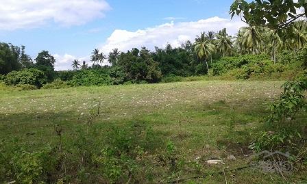 Other lots for sale in Dumaguete in Philippines