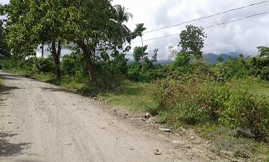 Picture of Other lots for sale in Dumaguete in Negros Oriental