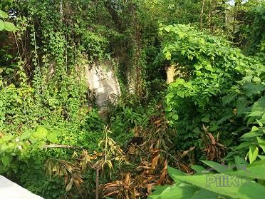Pictures of Other lots for sale in Dumaguete